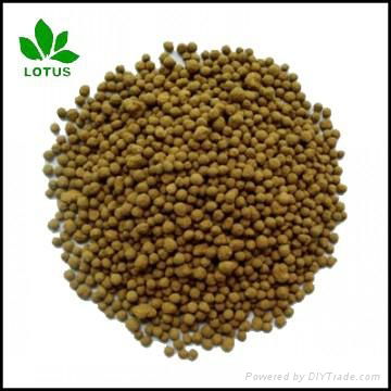 Seabird Guano Phosphate for organic fertilizer P2O5 32% BPL