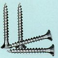 Drywall Screw 1