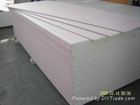 Baier plasterboards for ceiling or partition system 5