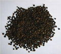 Piperine 1