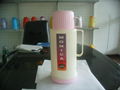 vacuum  flask 2