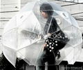 PVC advertising umbrella