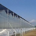 Polycarbonate Hollow Sheet with colorful and environmental protection 3