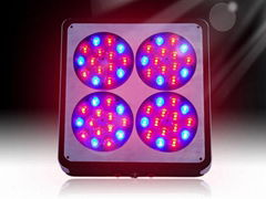 led grow light