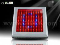 led grow light