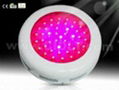 led grow light 1