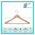 clothe hanger 1