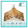 clothe hanger 2