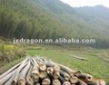 100% natural bamboo high-temperature BBQ charcoal  3