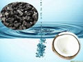 coconut shell  granular activated carbon for drinkingwater 2