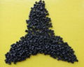 engineering modified plastic raw material pa66 pellets/granules  1