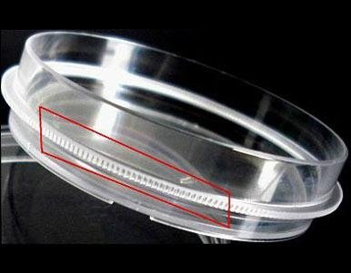 100mm disposable petri dish with easy-grip brim 2