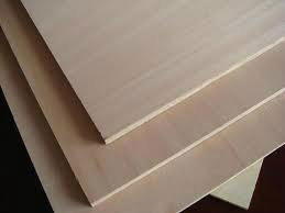 POPLAR PLYWOOD 3