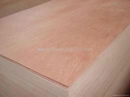 BINTANGOR PLYWOOD