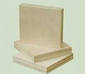 BIRCH PLYWOOD