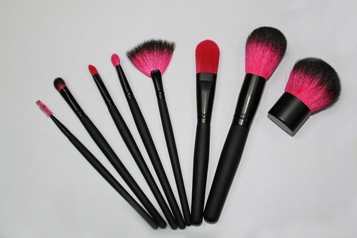 Makeup brush---8pcs Professional  1
