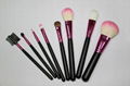 Cosmetic Brush 1