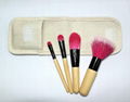 Makeup Brush Kit 2