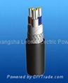 Ship Power Cable 1