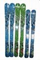 Professional Alpine Ski/free style ski