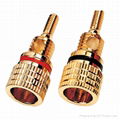 Rohs golden color audio screw binding post (L)