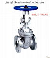 Carbon steel flanged gate valve 150~2500 LB