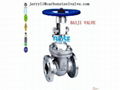 API SS304/SS316  FLANGED GATE VALVE RTJ-RTJ 1