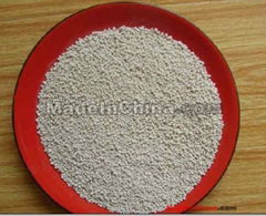 Bentonite  Cat Litter