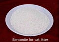 Bentonite  Cat Litter 2