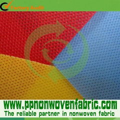  Sunshine Nonwoven fabric  Co., Ltd.