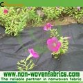 Weed Control Non Woven Fabric 1