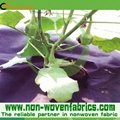 Weed Control Non Woven Fabric 2