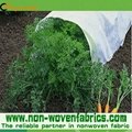 Weed Control Non Woven Fabric 3