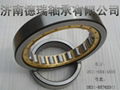 cylindrical roller bearing