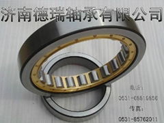 cylindrical roller bearing