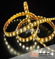 3528 SMD 120 L/M LED strip light