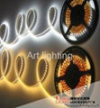 5050 SMD 60 L/M LED strip light Waterproof IP65 IP68 RGB Single Color 1