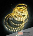 3528 SMD 120 L/M LED strip light non-Waterproof RGB 6 Single Color High Quality 1