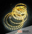 3528 SMD 120 L/M LED strip light