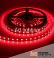 5050 SMD 30L/M LED strip light