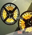 5050 SMD 60 L/M 12V Flexible LED strip