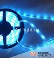 5050 SMD 60 L/M 12V Flexible Soft LED strip light Waterproof IP44 Blue 1