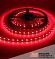 5050 SMD 30 L/M 12V Flexible LED strip light Waterproof IP44 Red