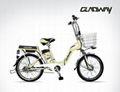 Electric motor bike 4