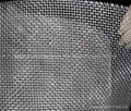 stainless steel wire mesh  2