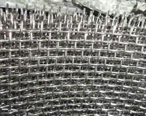 stainless steel wire mesh  3