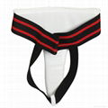 Taekwondo Boxing Martial Arts Groin Protectors for Women 2