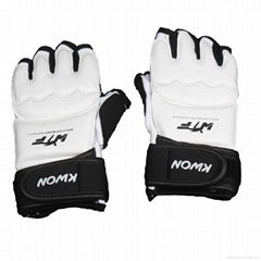 Taekwondo Gloves WTF Approved Hand