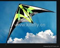 stunt kite 1