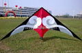 stunt kite 4